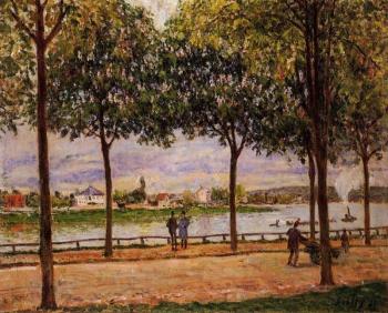 Alfred Sisley : Promenade of Chestnut Trees
